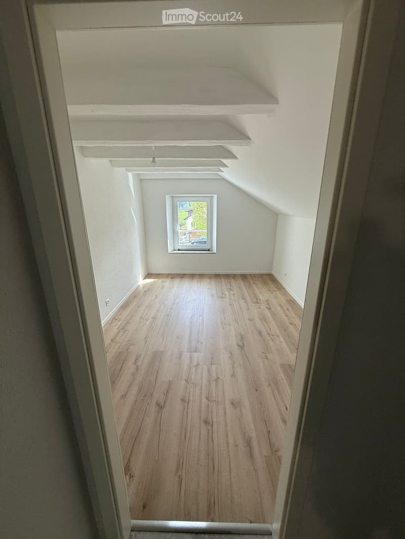 Appartement 4.5 pièces 1er étage entièrement rénové (1)