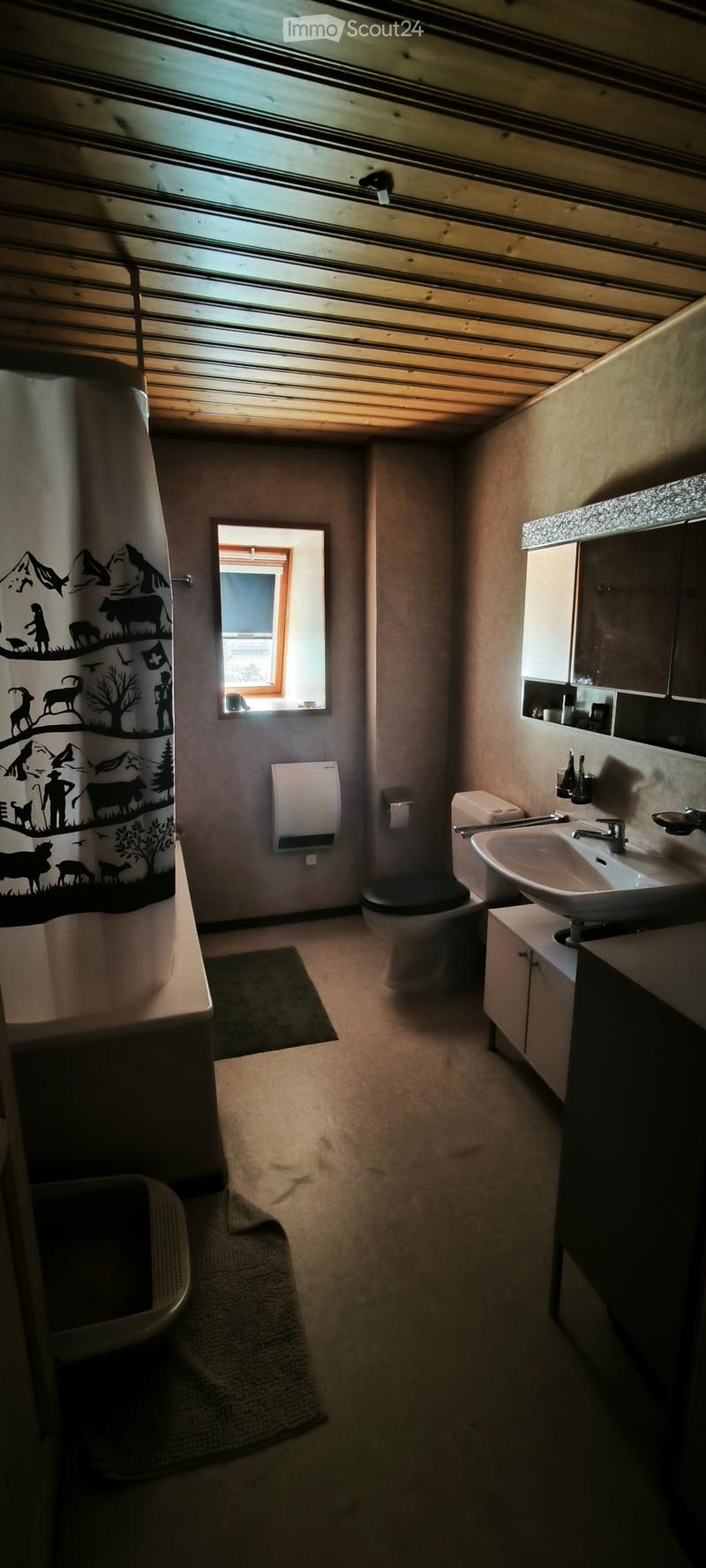 Loft en attique avec poutres apparentes (2)