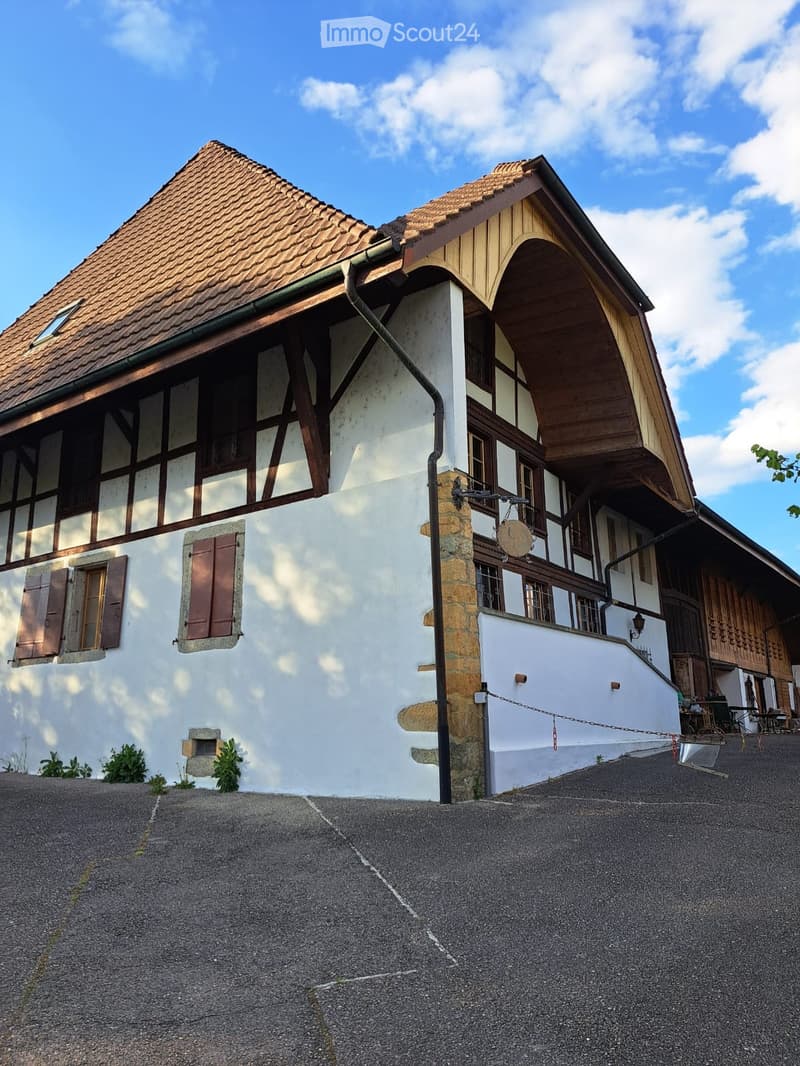 Loft en attique avec poutres apparentes (3)