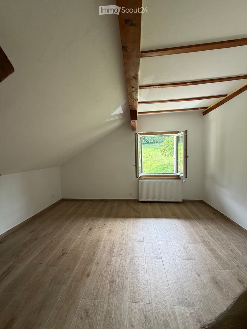 3,5 pièce à louer (4)