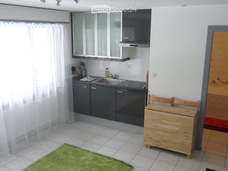 Superbe appartement rénové au cur de la station (3)