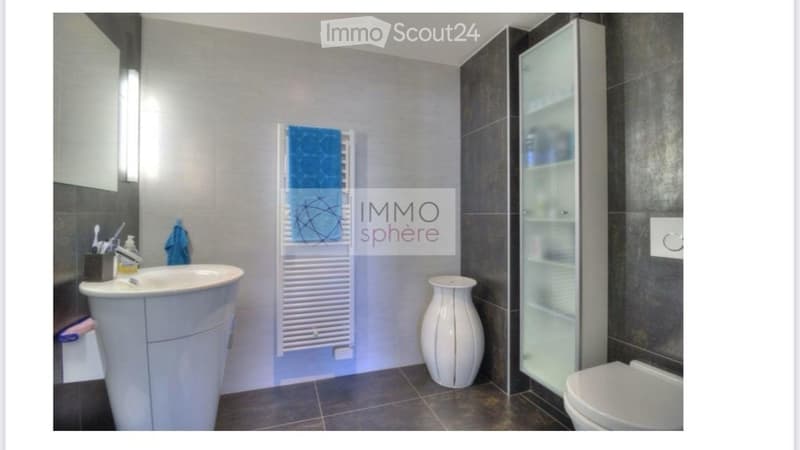 Attique (Charges comprises) / Bureau / Loft / Appartement (6)