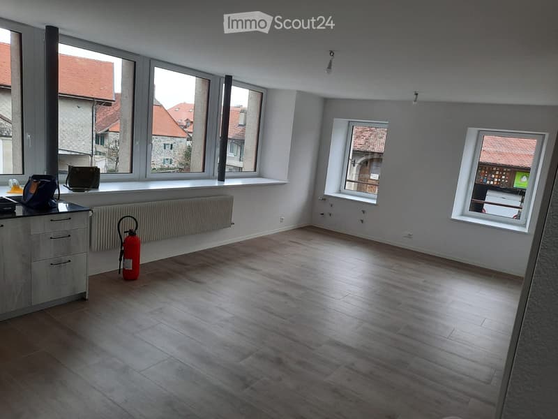 Appartement duplex (1)