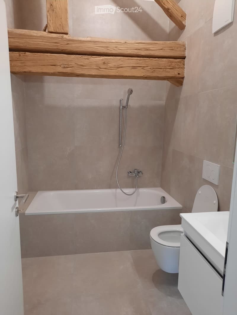 Appartement duplex (3)