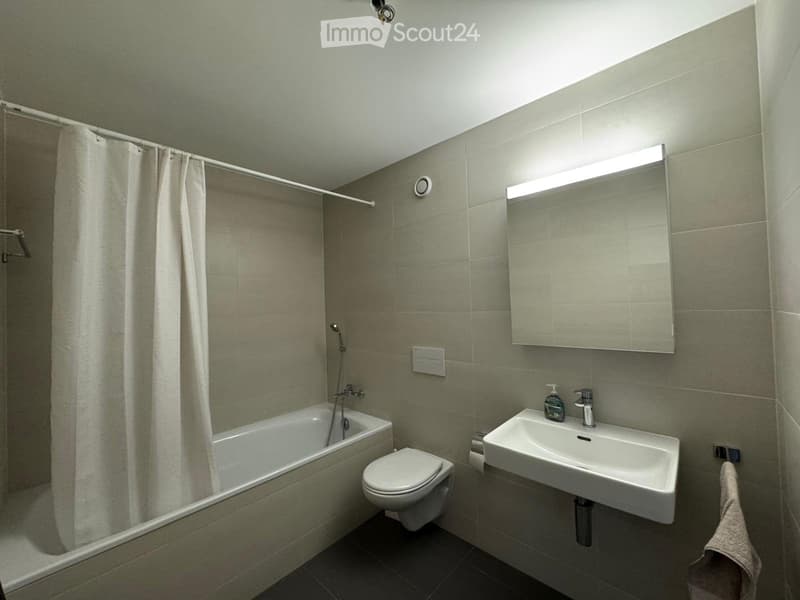 Superbe 3,5 pièces, calme, tout agencé + 1 place souterraine (5)