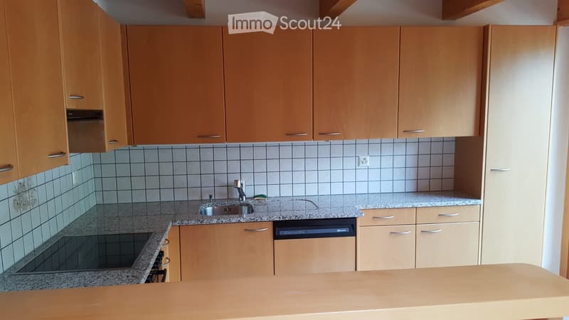 Appartement de 2.5 pièces à Troistorrents (3)