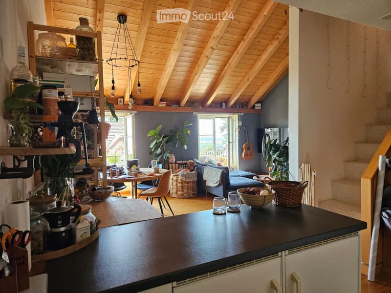 2 pièces en duplex avec vue lac (1)