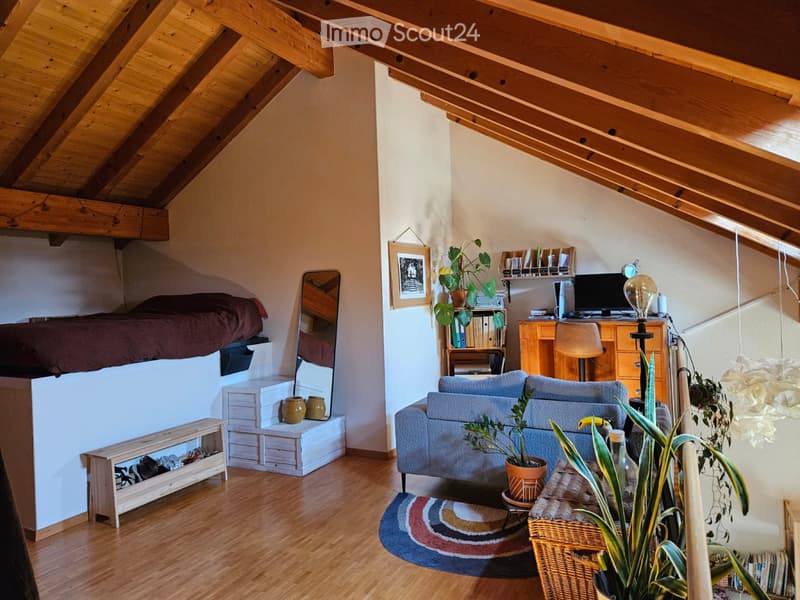 2 pièces en duplex avec vue lac (4)