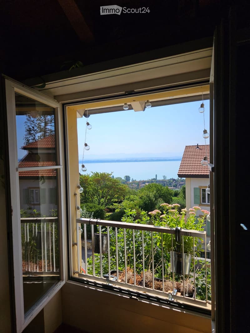 2 pièces en duplex avec vue lac (3)