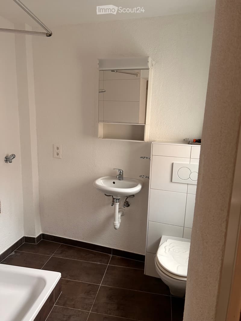 Magnifique appartement de 3,5 pièces (4)