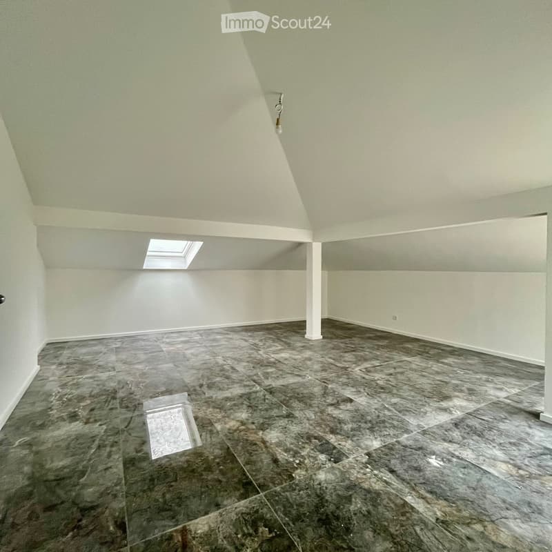 Appartement quasi neuf à louer (4)