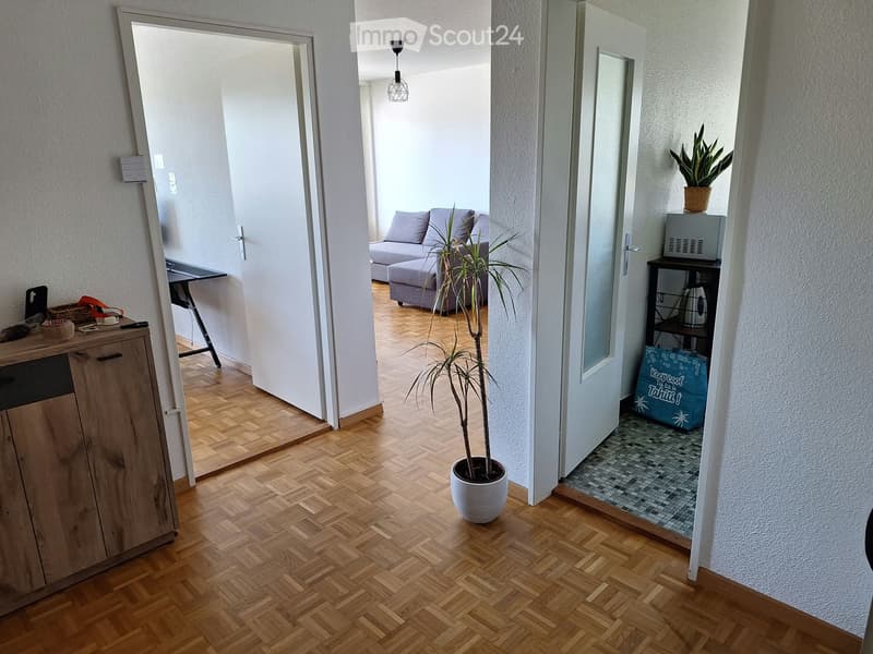 Appartement 2pièces a louer Morges (1)