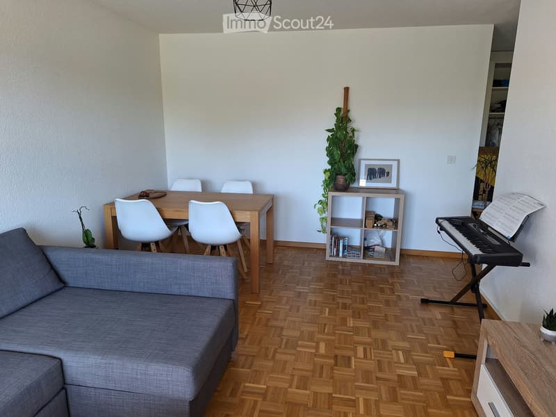 Appartement 2pièces a louer Morges (3)