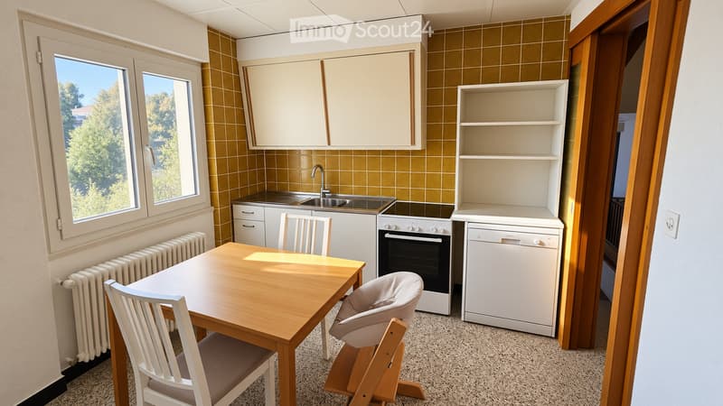Appartement 3.5 pcs avec magnifique vue (2)