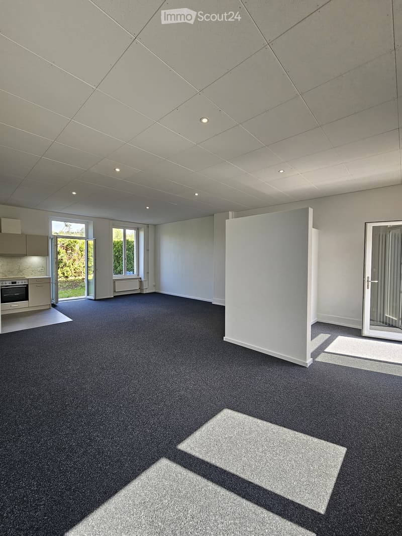 Loft 2 pièces à Courfaivre (1)