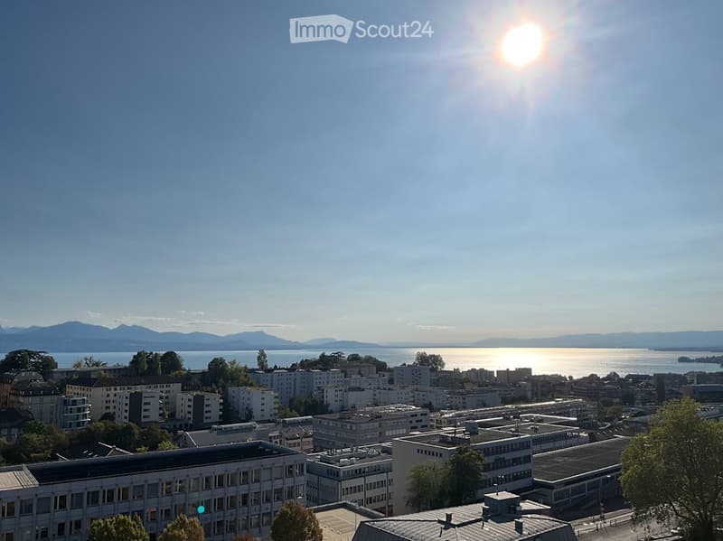 3,5 pièces de 100 m² au centre de Lausanne avec vue lac (1)