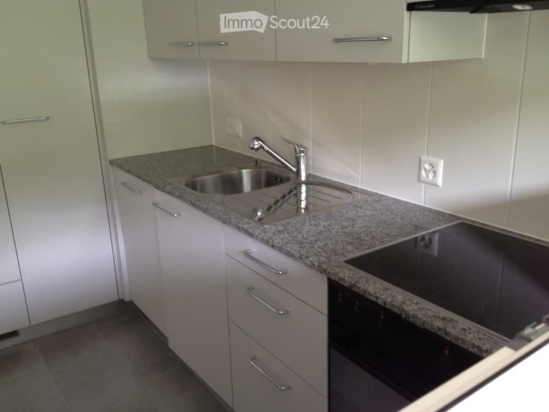 3-Zimmer-Wohnung in Spiez zu vermieten (4)