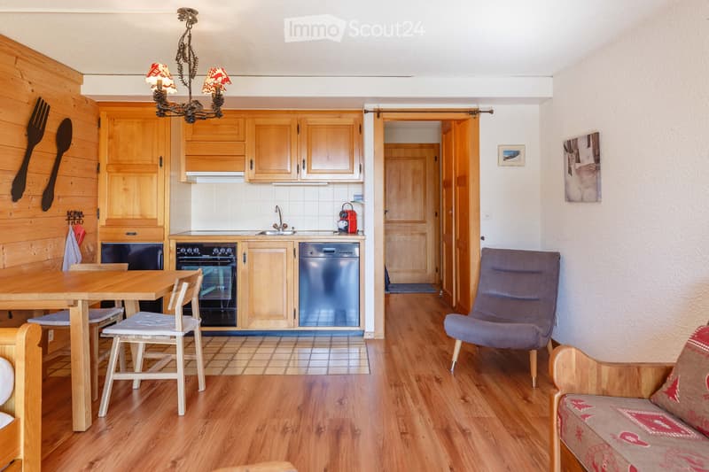 Appartement dune pièce meublé avec jardin Chesières/Villars (4)