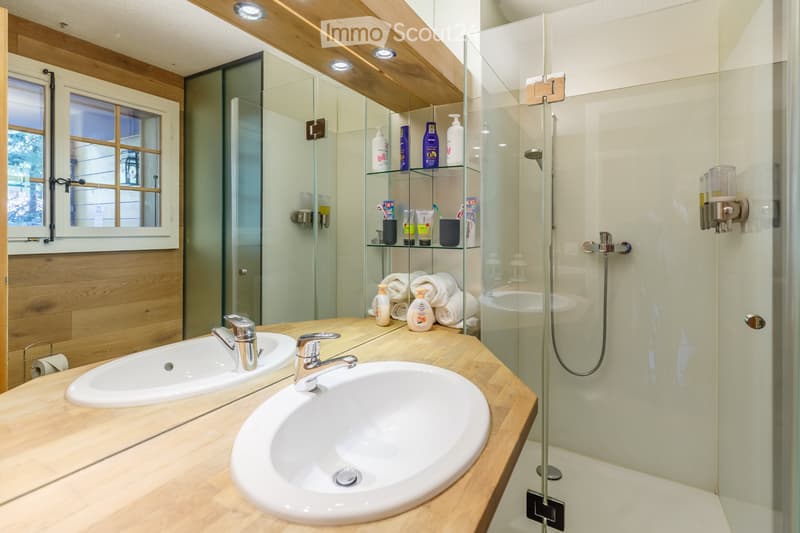Appartement dune pièce meublé avec jardin Chesières/Villars (5)