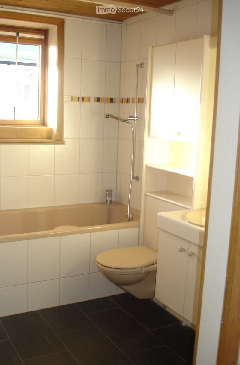 4.5 Zimmerwohnung EG, gross und hell (5)