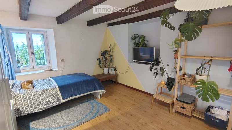 Colocation a Savigny (1)