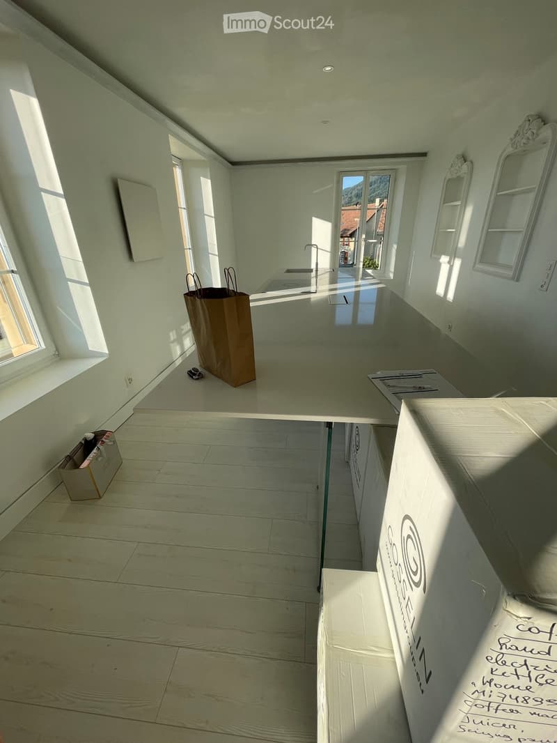 Charmant Appartement Lumineux - Montricher (5)