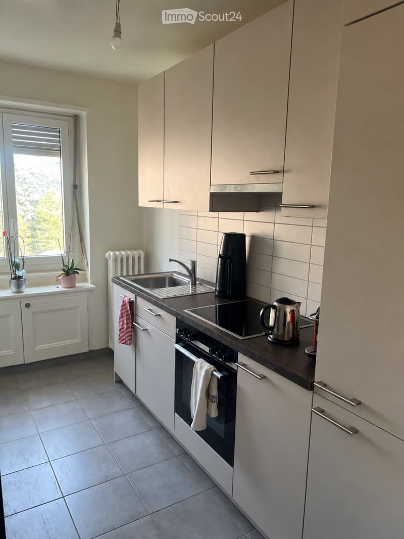 Appartement 2,5 pièces 45m2 Genève (3)