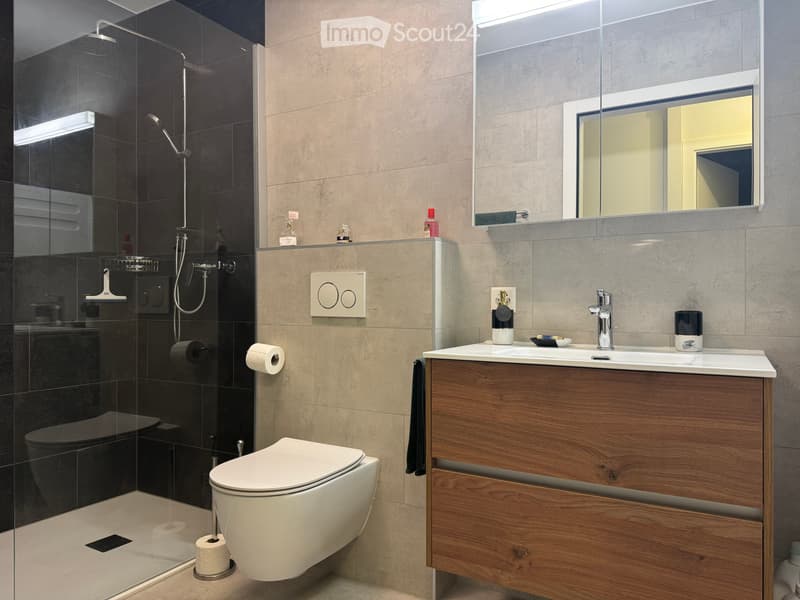 Spacieux appartement 2.5pcs non meublé (5)