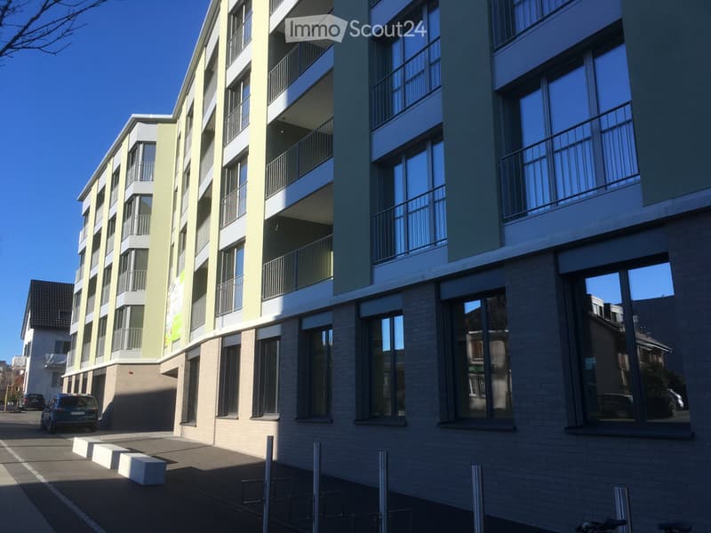 Appartement récent de 2,5 pièces avec vue sur les montagnes (1)