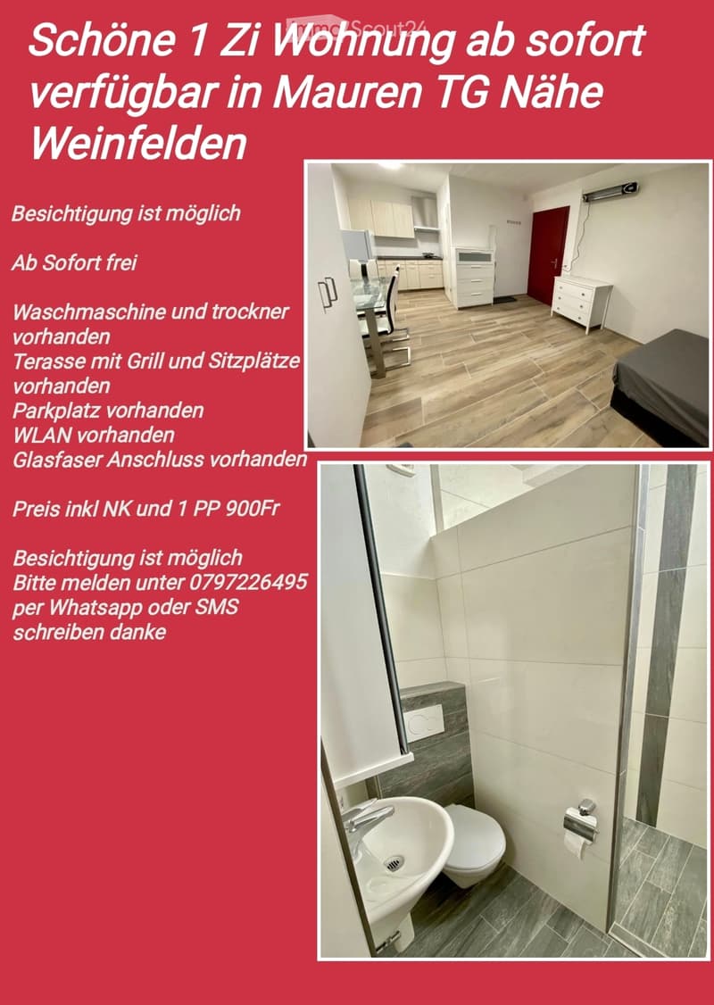 Ab SOFORT, Möbliert, 1 Zi Wohnung (1)