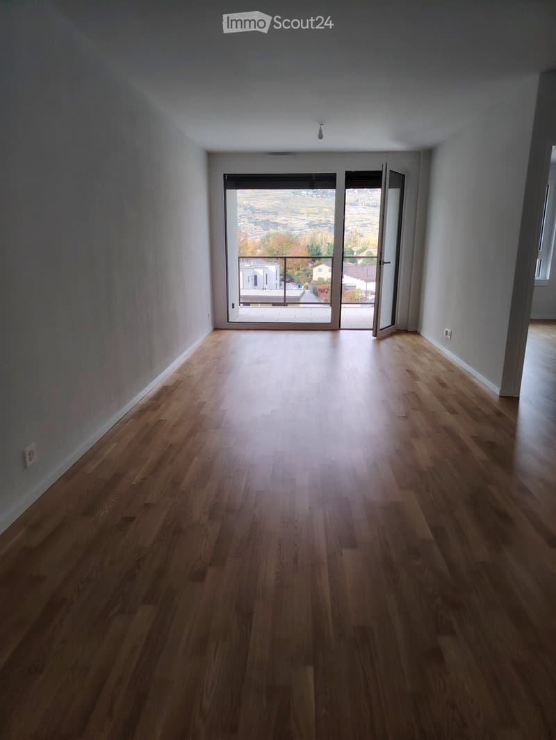 Appartement 2,5 pièces avec vue + place de parc intérieure (3)