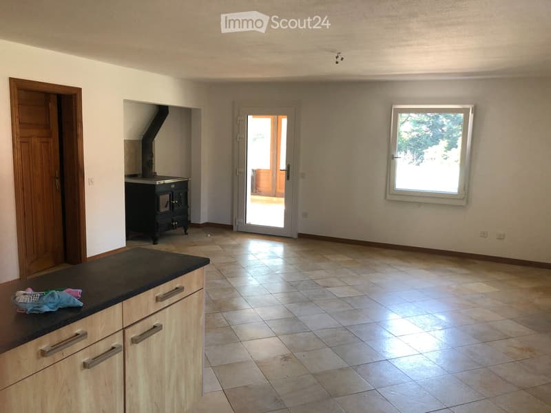 Grand appartement lumineux de 6.5 pièces (1)