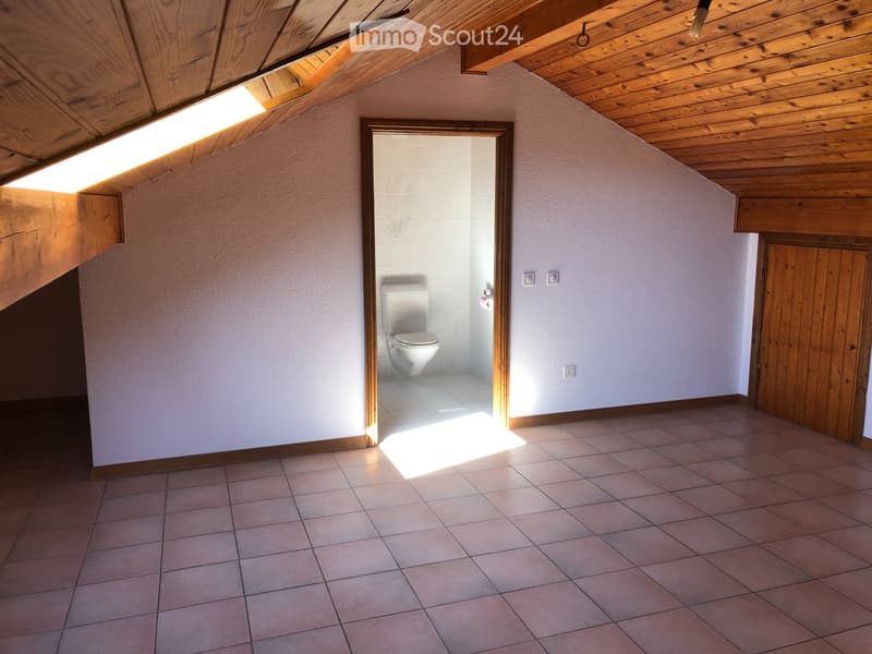 Grand appartement lumineux de 6.5 pièces (4)