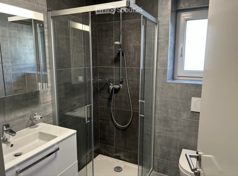 Collocation dans un duplex à Conthey (2)