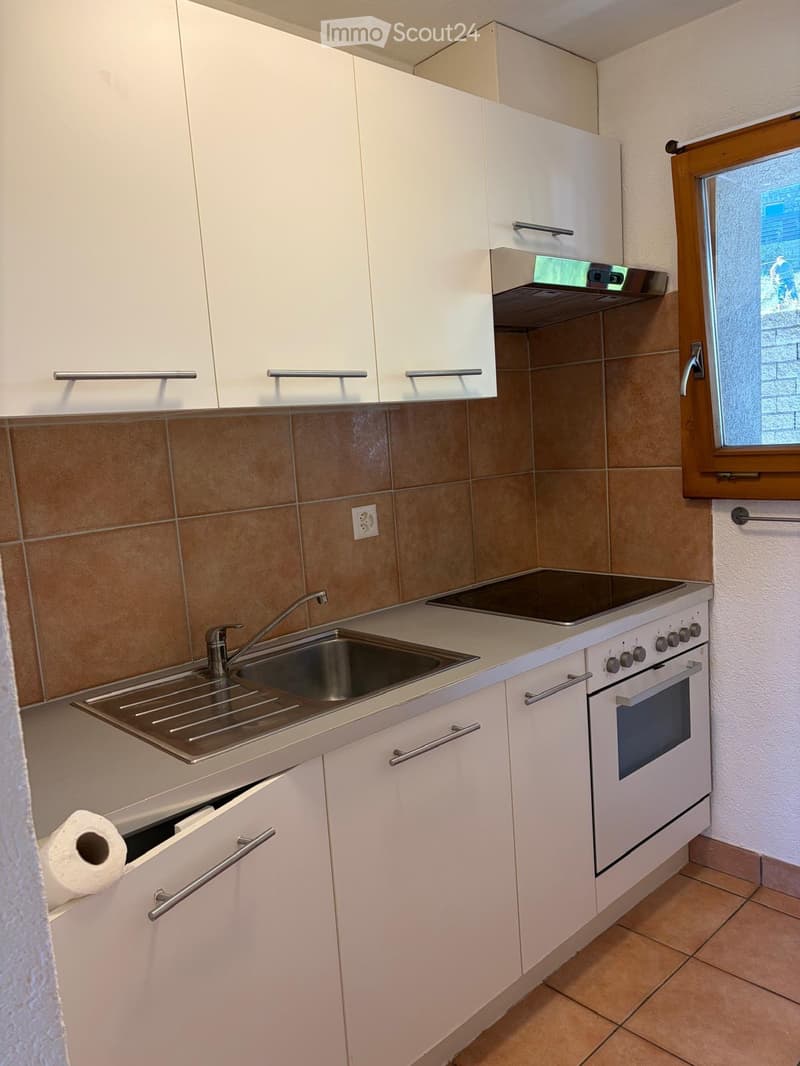 Savièse, joli 2,5 pièces en duplex (4)