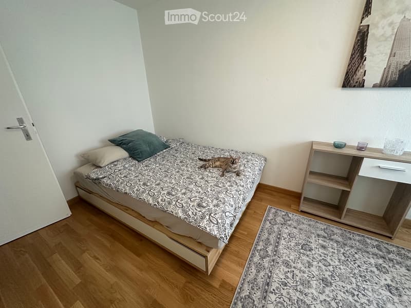 Chambre à louer sur Lausanne (2)