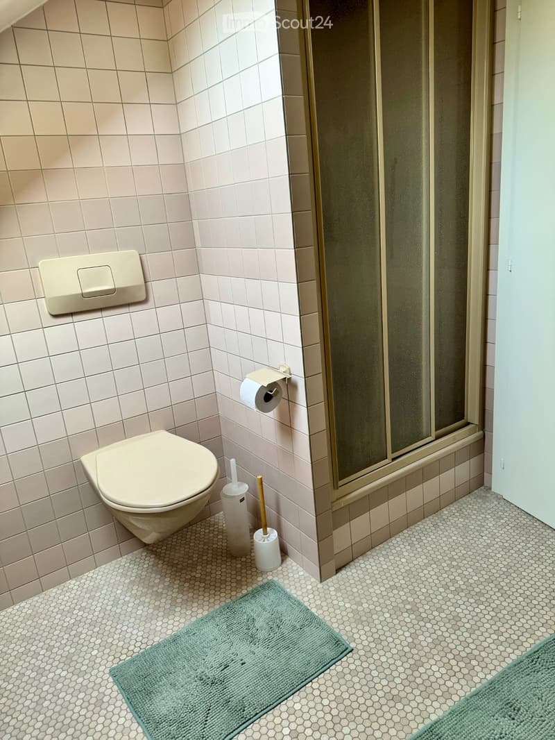 Meublé dans maison de Maître - durée déterminée (2)
