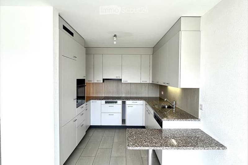 Appartement vue lac 4,5 pièce à 10min à pied du port (3)