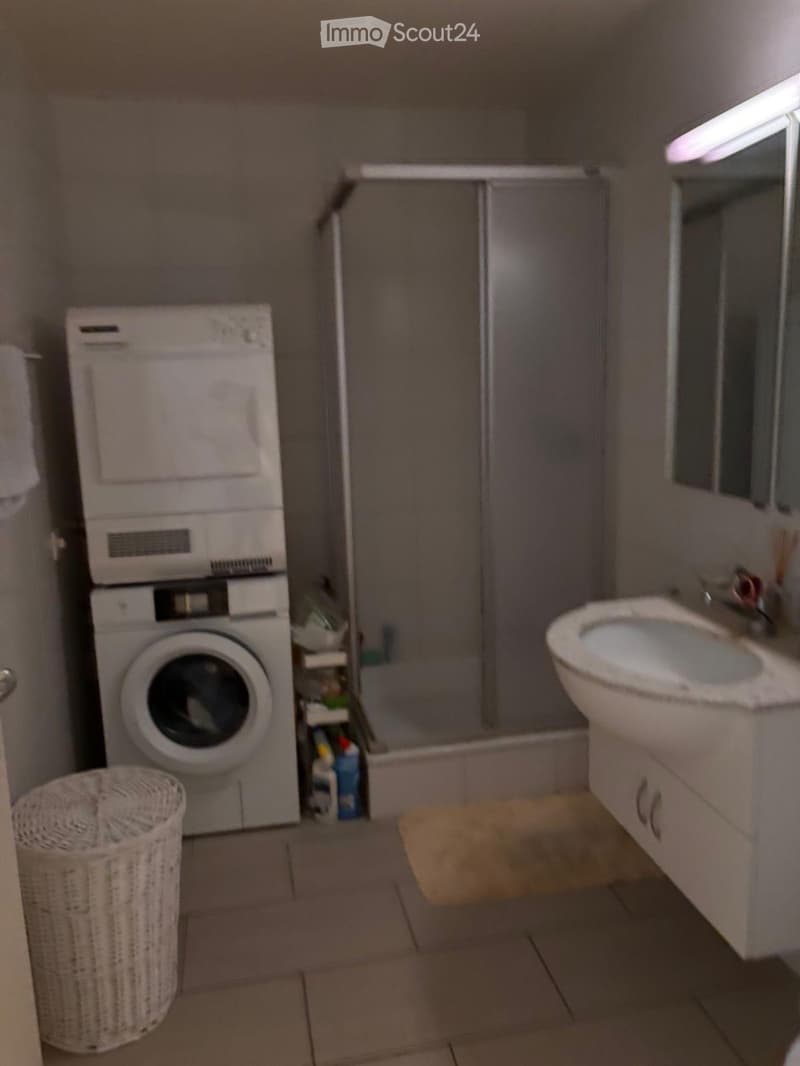 Appartement vue lac 4,5 pièce à 10min à pied du port (4)