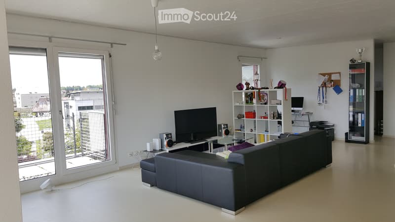 Grosszügige 2,5 Zimmer Attikawohnung (2)