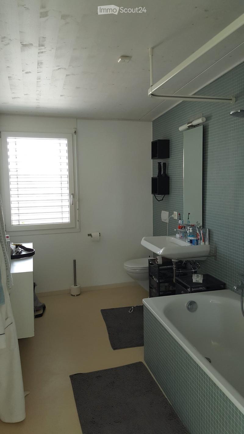 Grosszügige 2,5 Zimmer Attikawohnung (4)