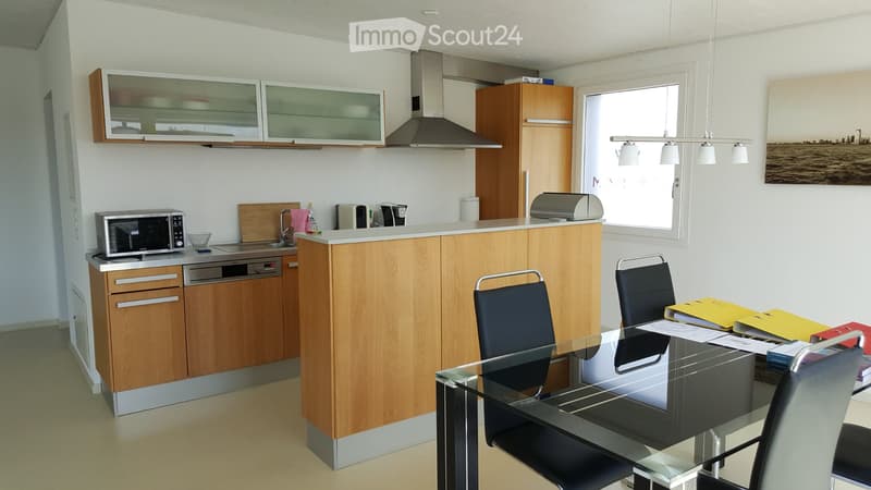 Grosszügige 2,5 Zimmer Attikawohnung (3)