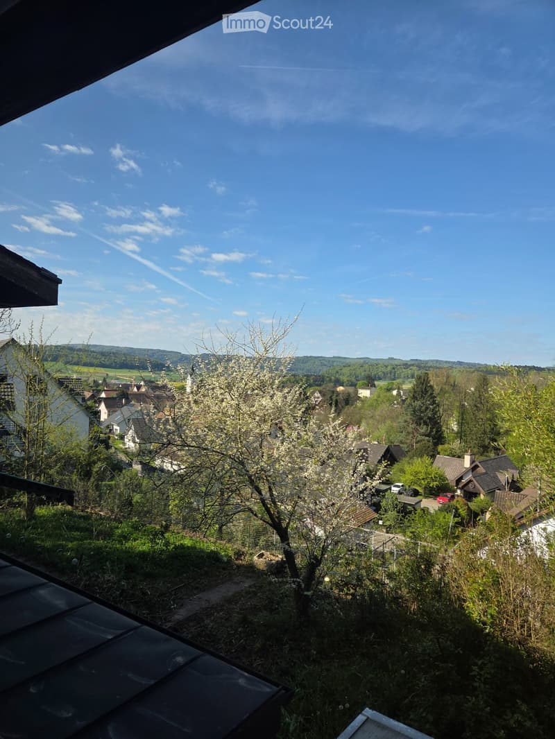 möbliertes Studio (3)