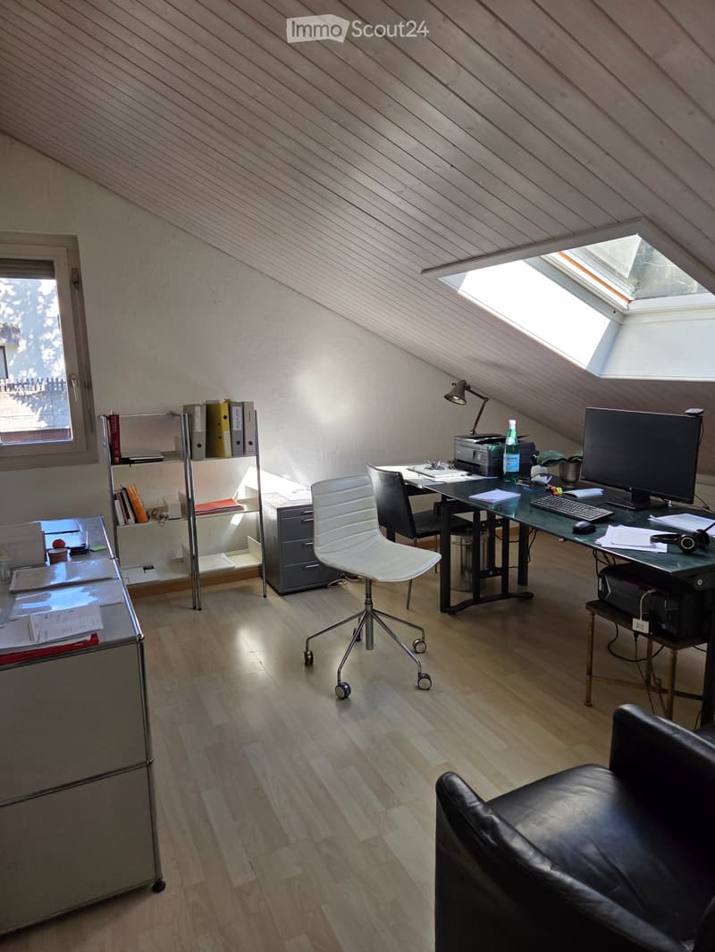 möbliertes Studio (4)