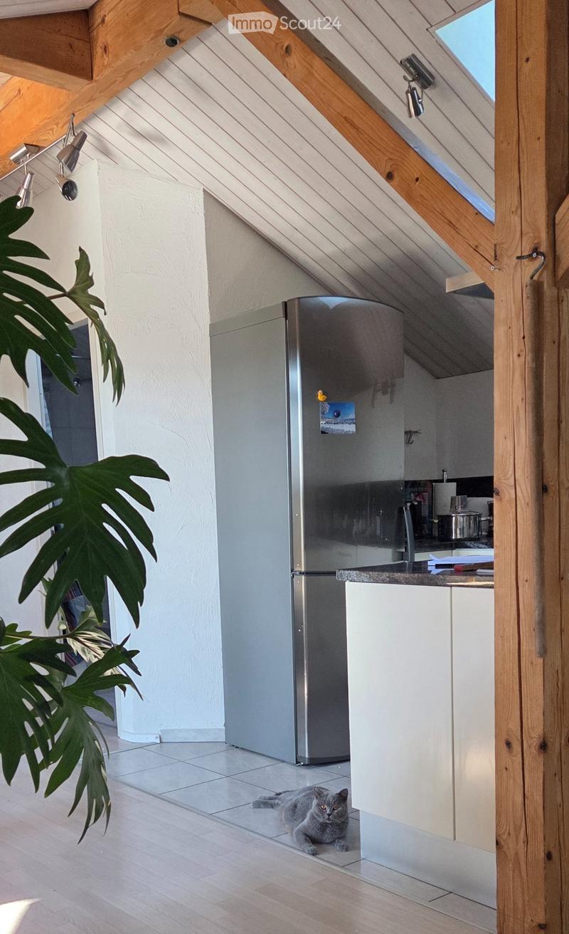 möbliertes Studio (2)
