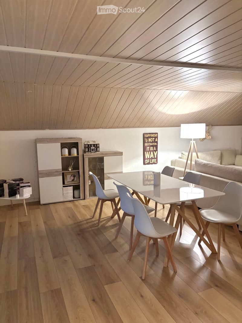Appartement duplex 4,5 pièce (2)