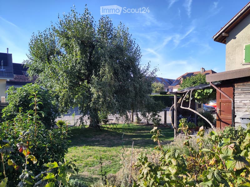 Duplex avec cachet, très lumineux, belle vue, calme, jardin (9)