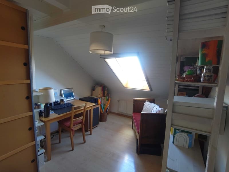 Duplex avec cachet, très lumineux, belle vue, calme, jardin (6)