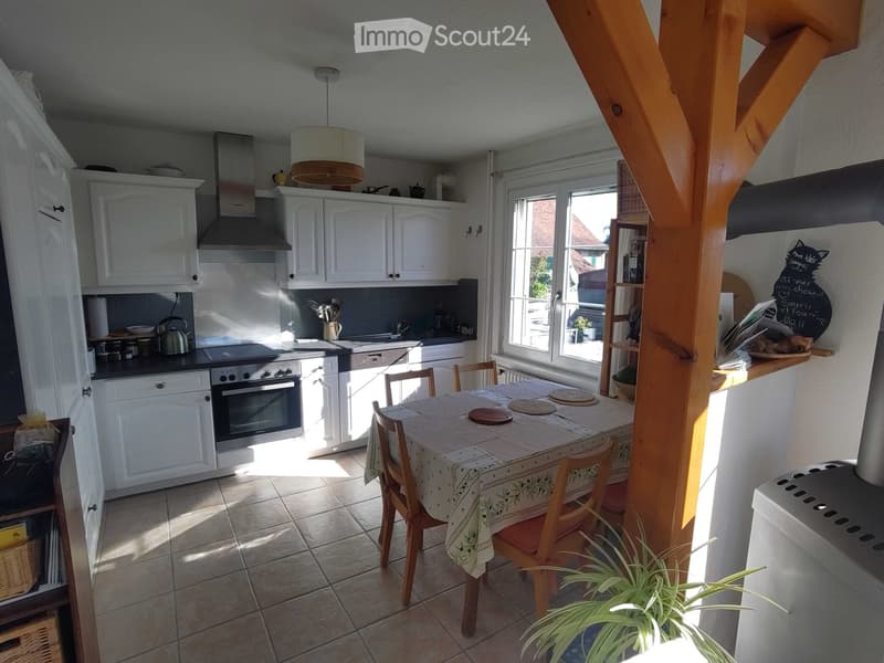 Duplex avec cachet, très lumineux, belle vue, calme, jardin (2)
