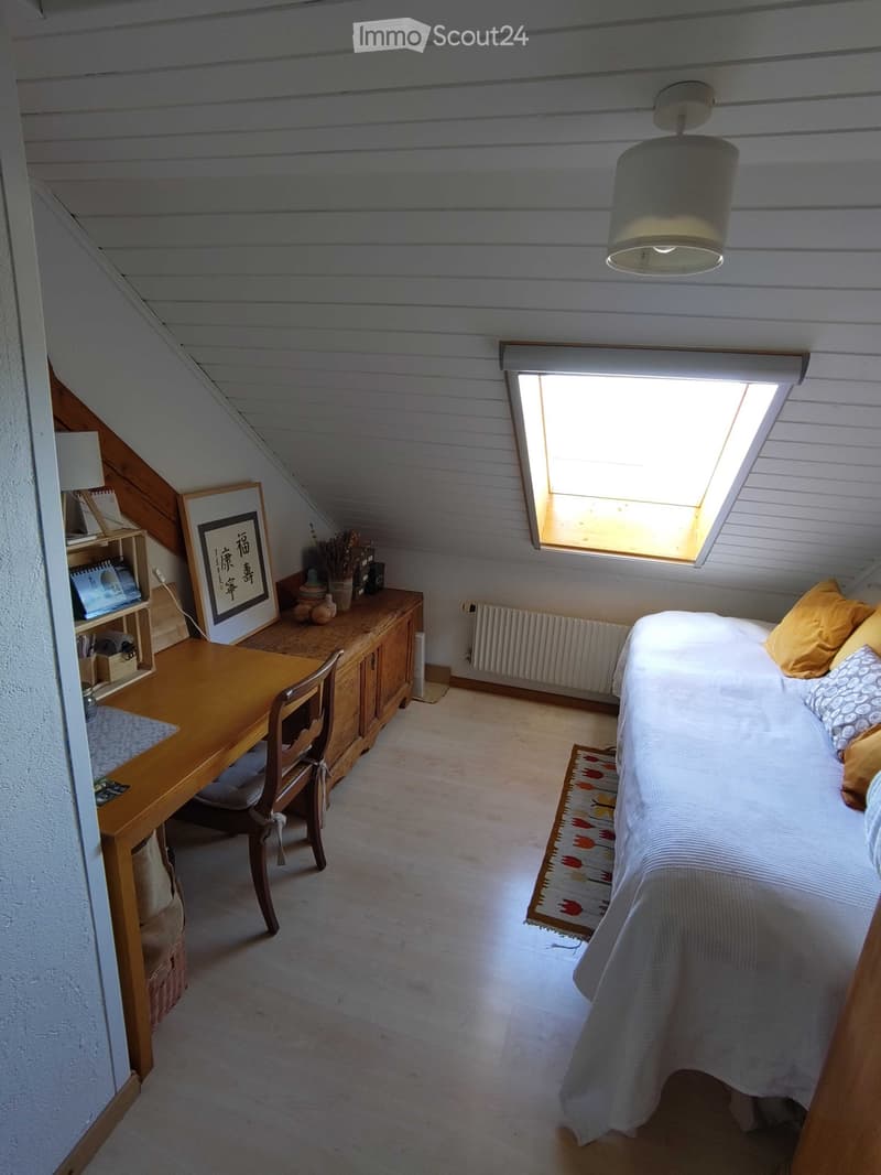 Duplex avec cachet, très lumineux, belle vue, calme, jardin (7)